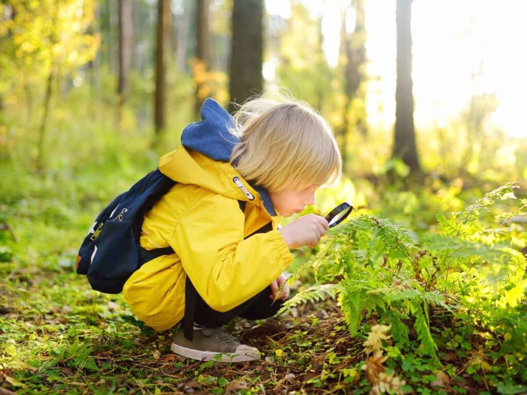 Learning Through Nature: Our Outdoor Education Approach